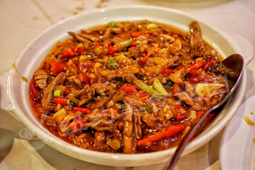 dasichuan04
