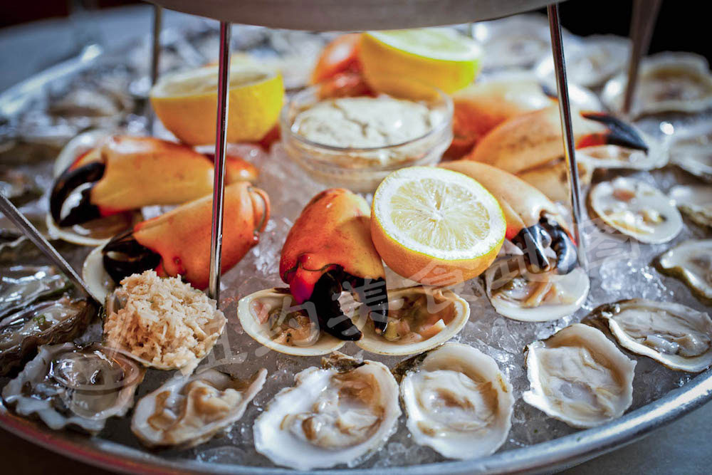 2016OYSTER11