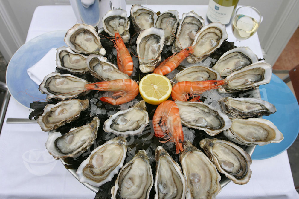 2016OYSTER19