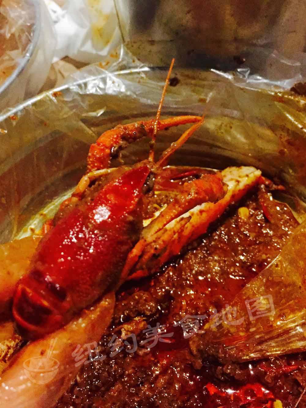 cajunsea-28