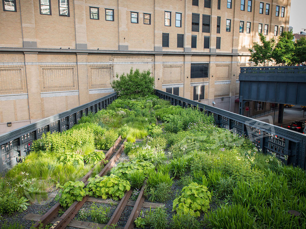 highline-36
