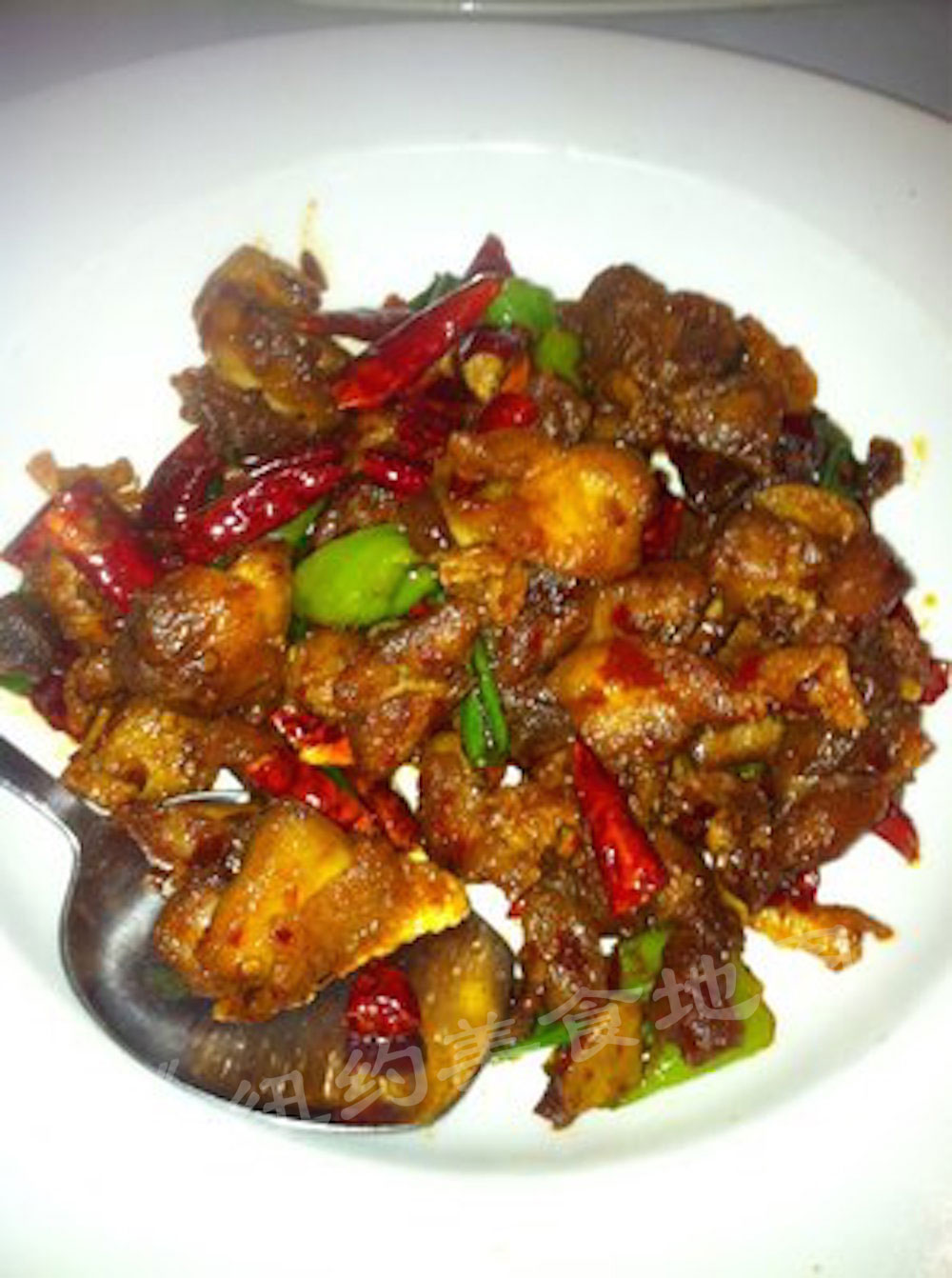 2015-chunjia-39