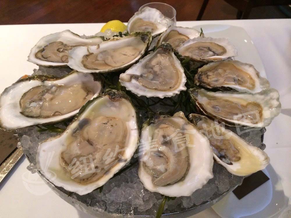 oyster-16