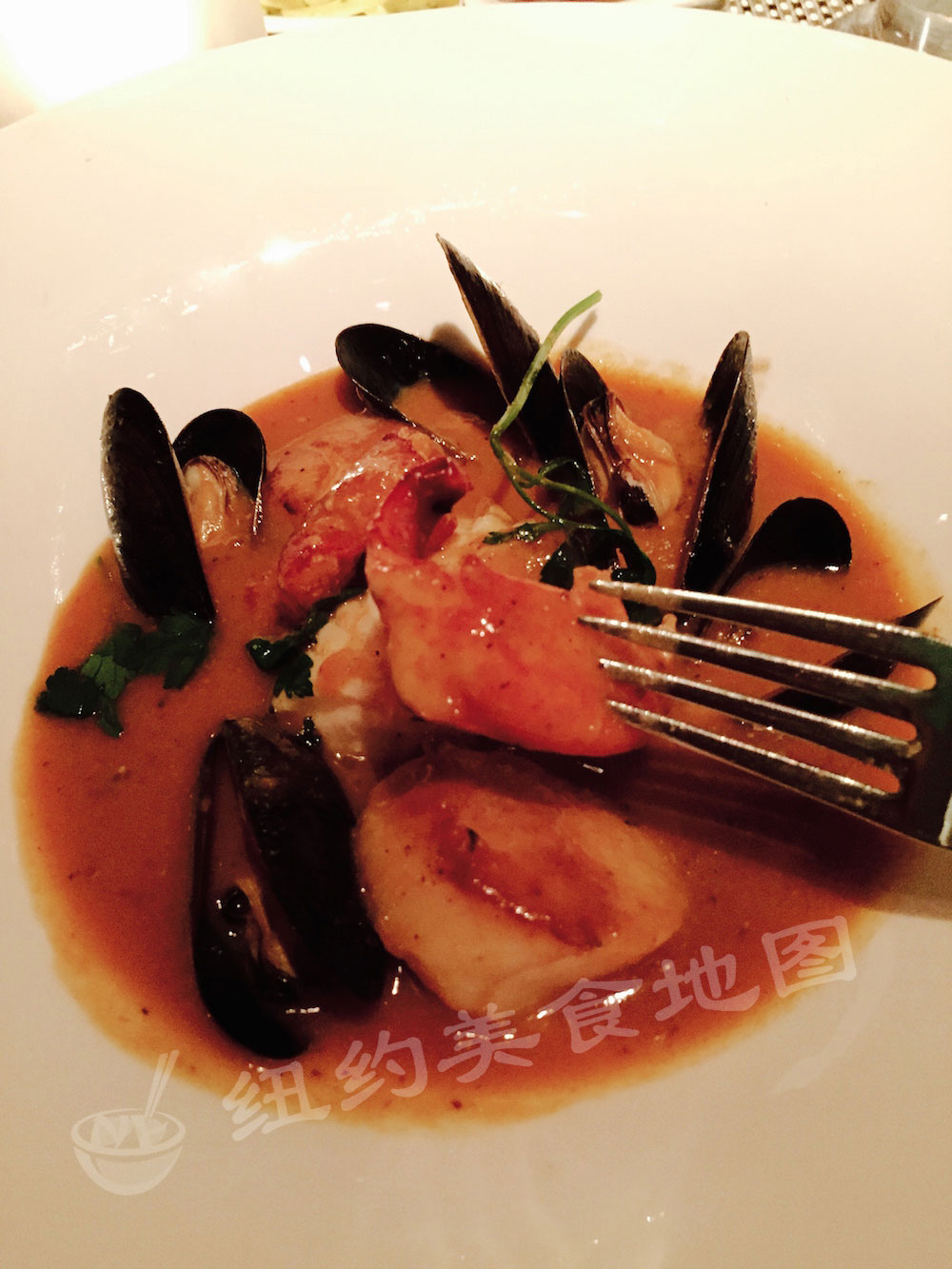 fig-olive-22