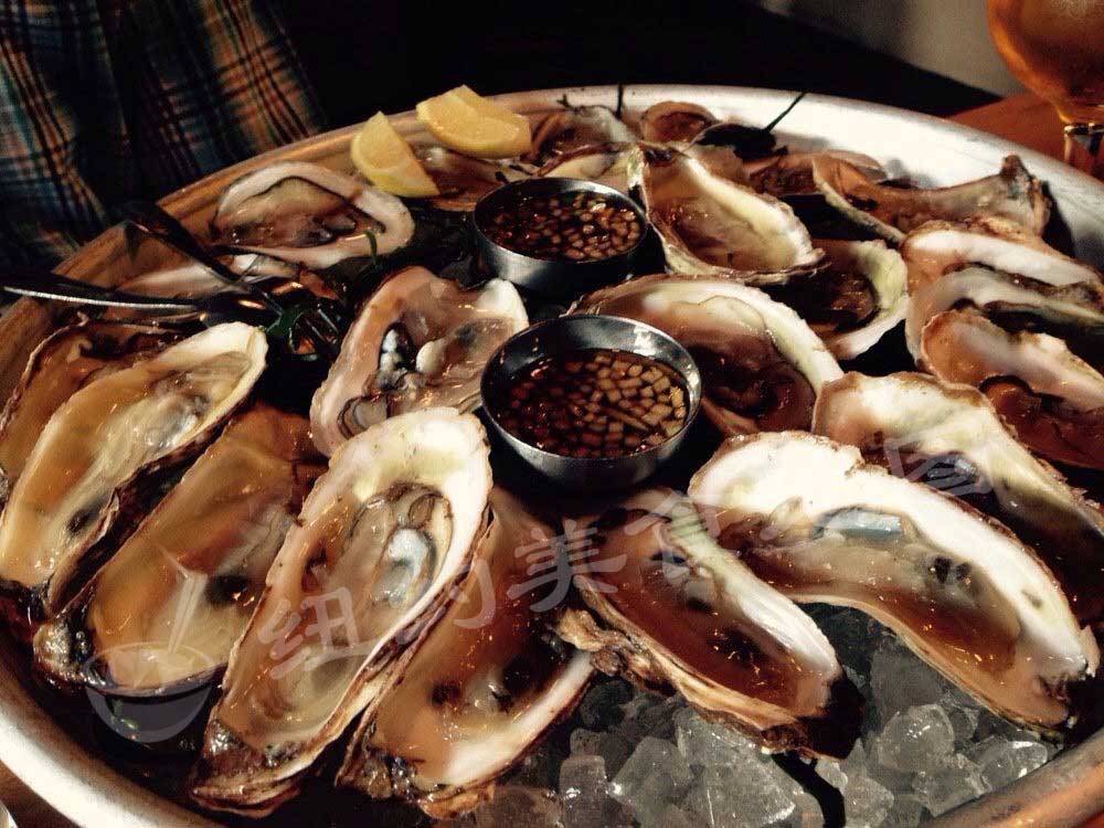 oyster-25