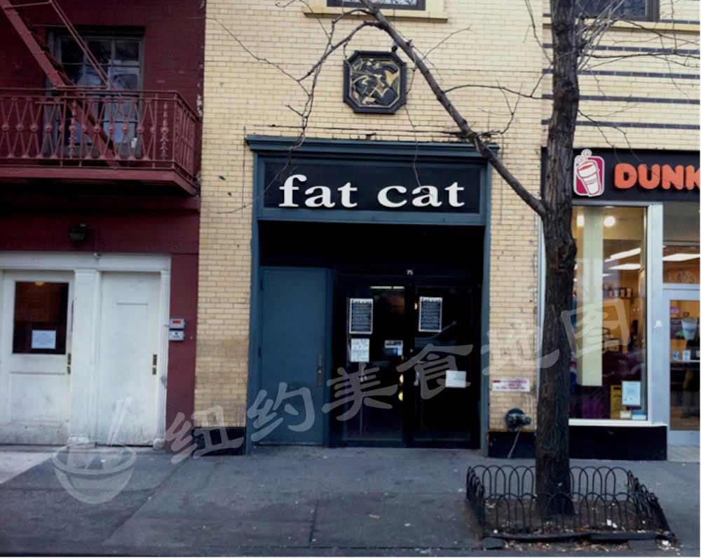 cs-fat-cat