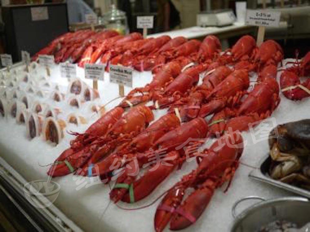 lobster-roll-15