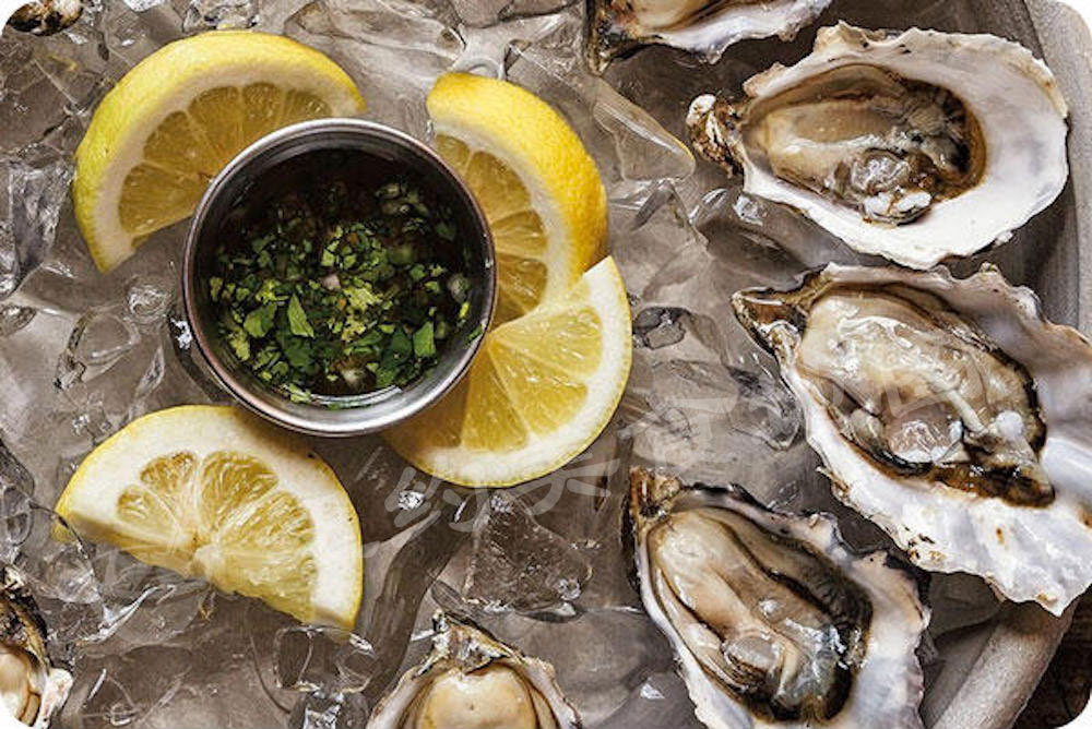 2016OYSTER04
