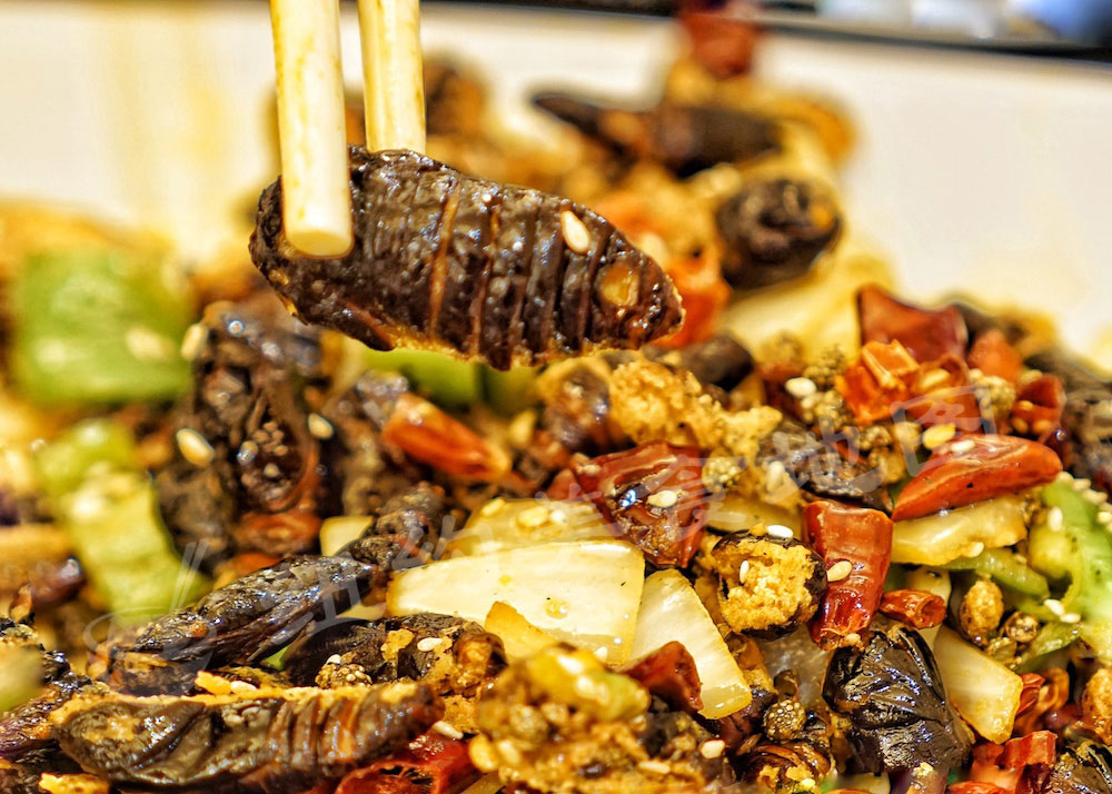 dadongbei28