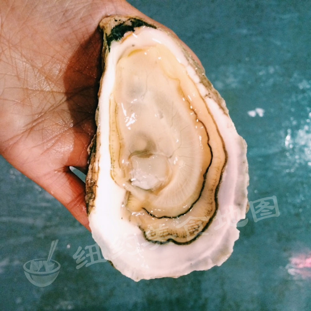 oyster-b-07
