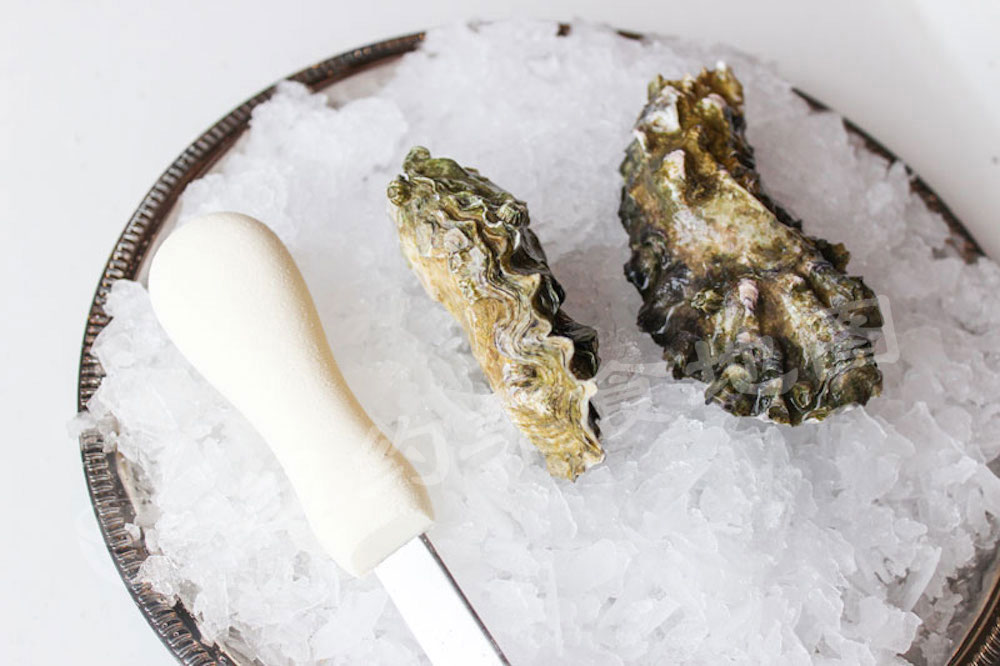 oyster-b-32