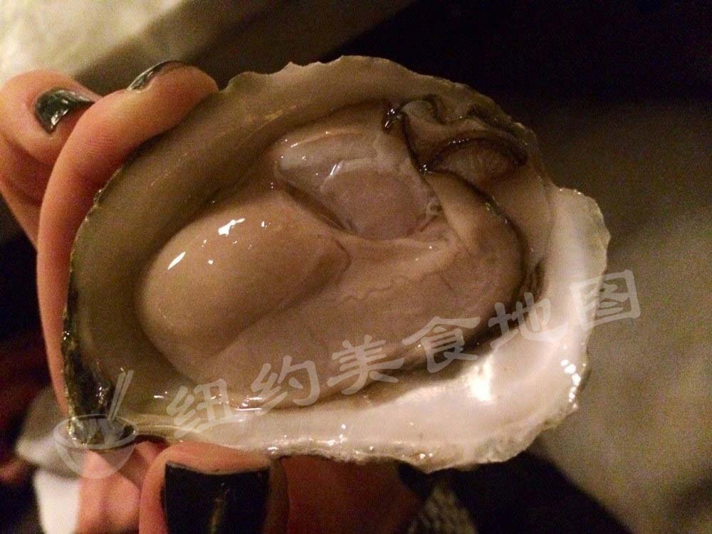 oyster-07
