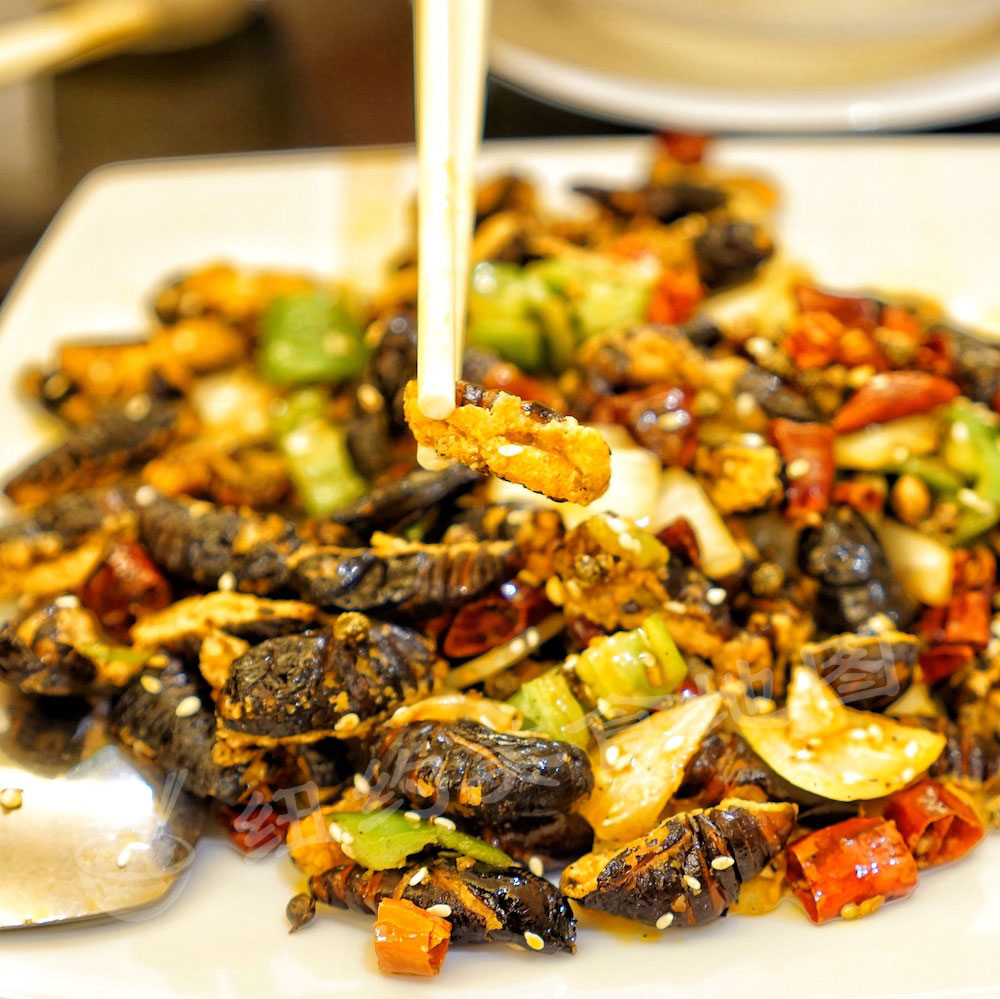 dadongbei48