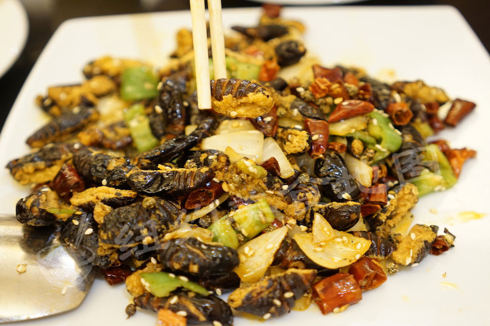 dadongbei69