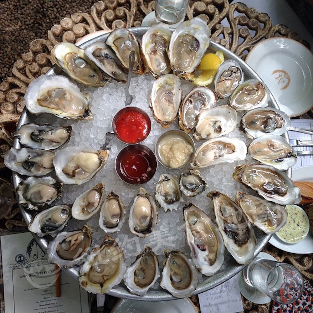 2016OYSTER16