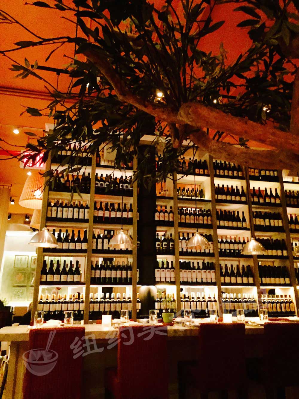 fig-olive-06