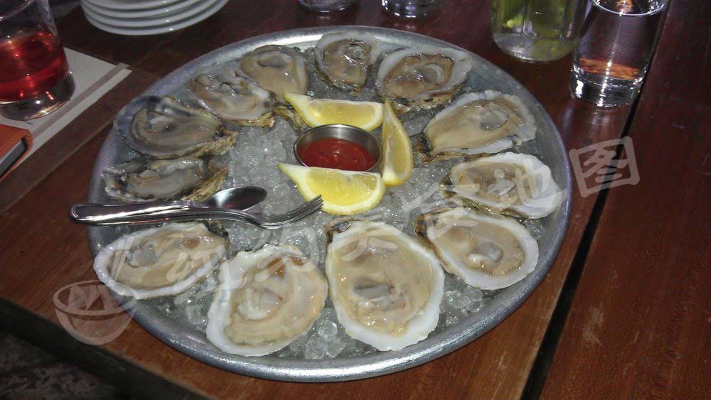 oyster-09