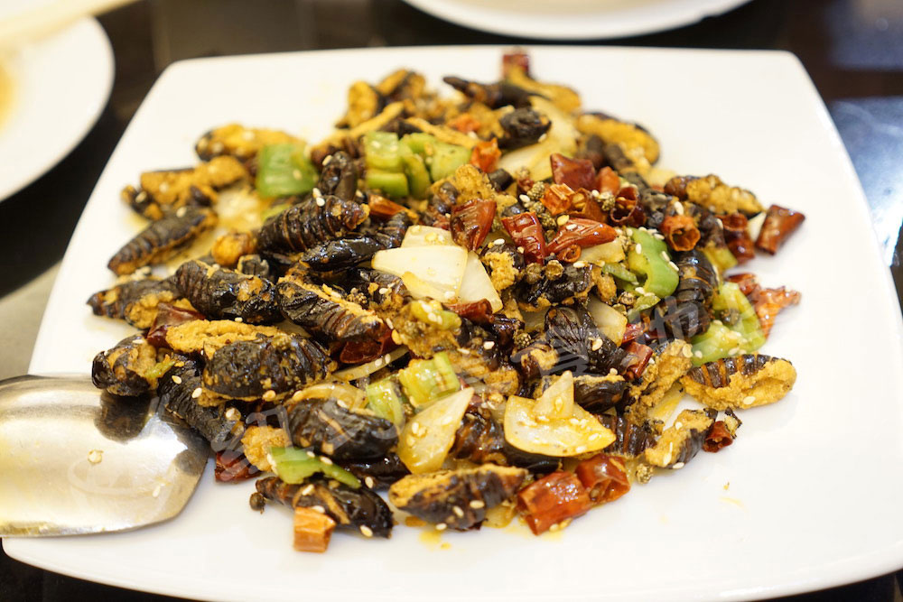 dadongbei71