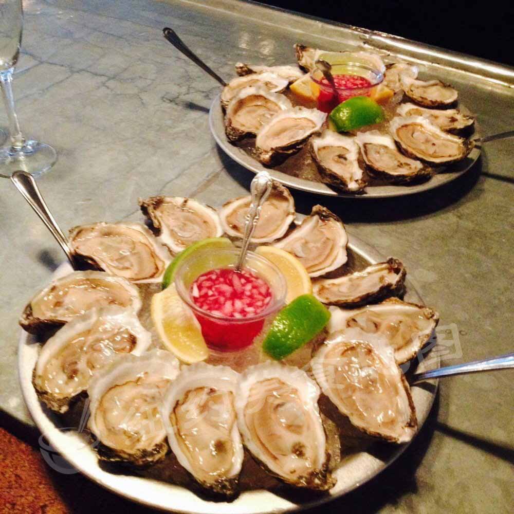 oyster-30