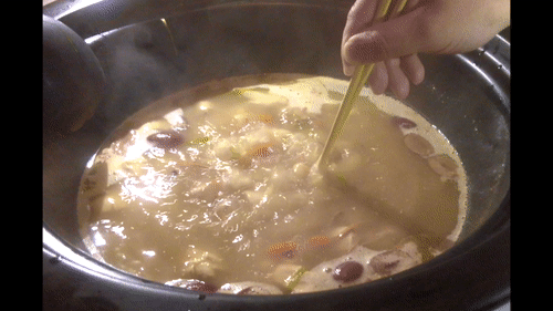 steam-pot-v-16