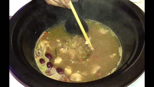steam-pot-v-17