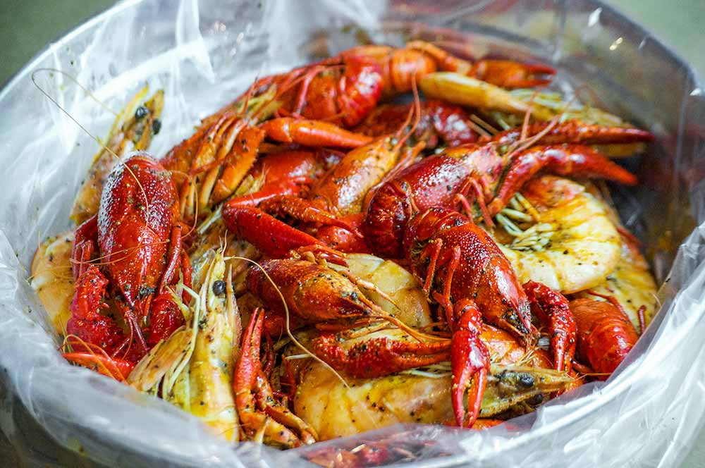 cajun-s-31