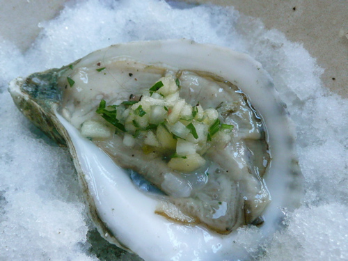 oyster