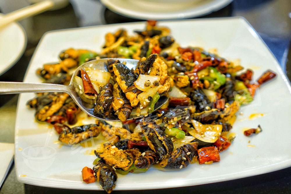 dadongbei50