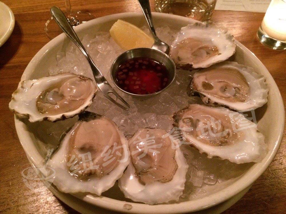 oyster-24