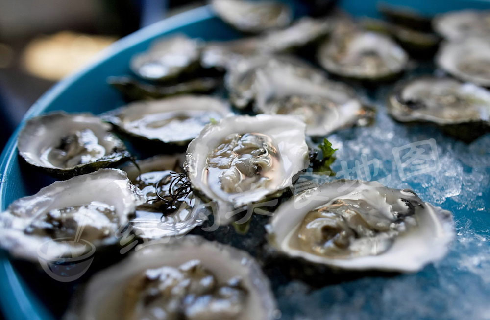 oyster-b-20