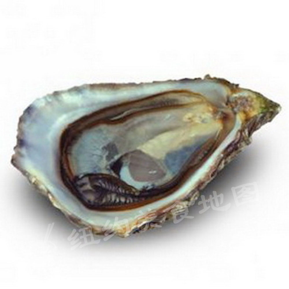 oyster-b-10