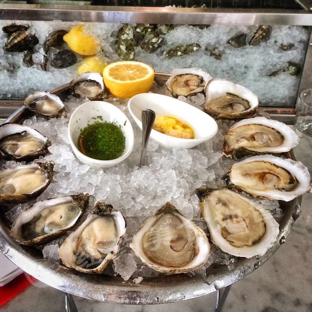 2016OYSTER08