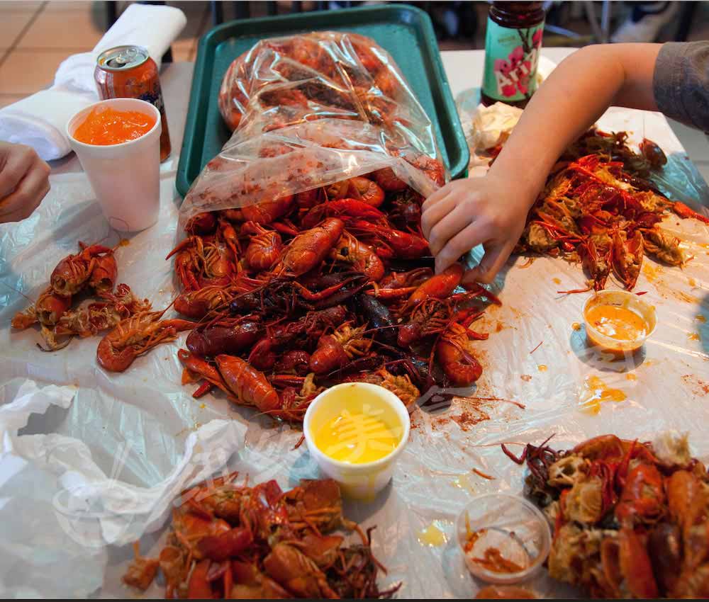 cajunsea-35
