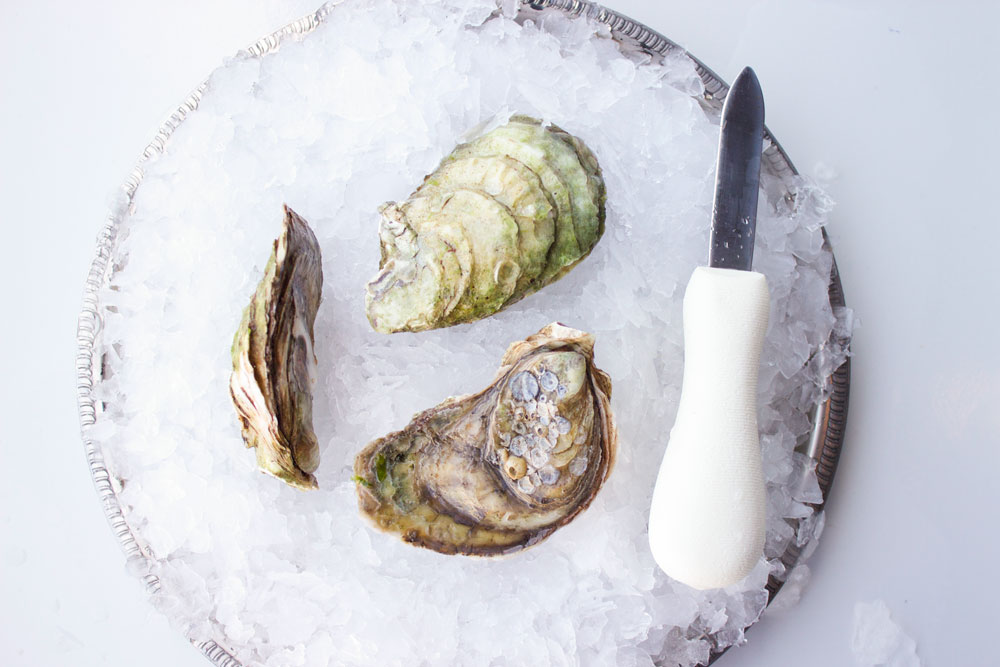 Malpeque-Oyster-Pangea-Shellfish