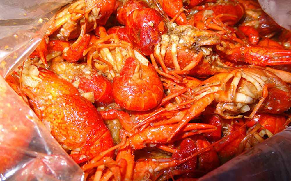 cajun-s-30