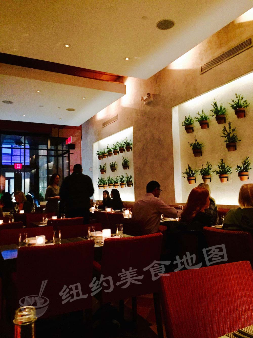 fig-olive-05