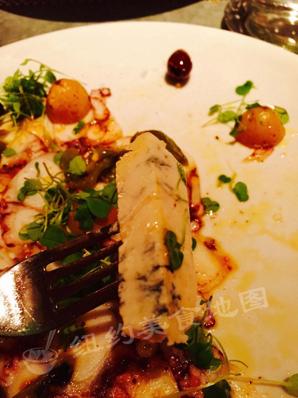 fig-olive-15