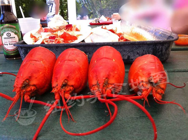 【食•旅】独立日如果你也去缅因,美食秘籍在这里啦~拿走不谢!